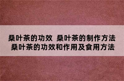 桑叶茶的功效  桑叶茶的制作方法 桑叶茶的功效和作用及食用方法